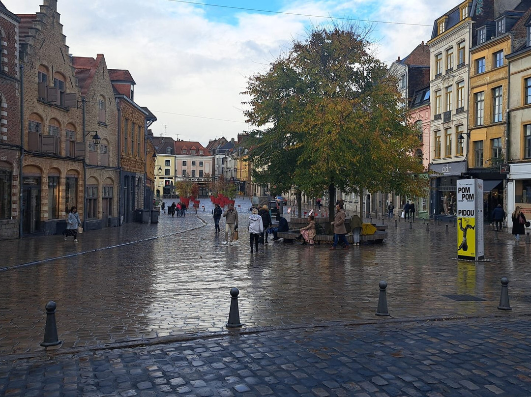 里尔老城区-里尔必去景点