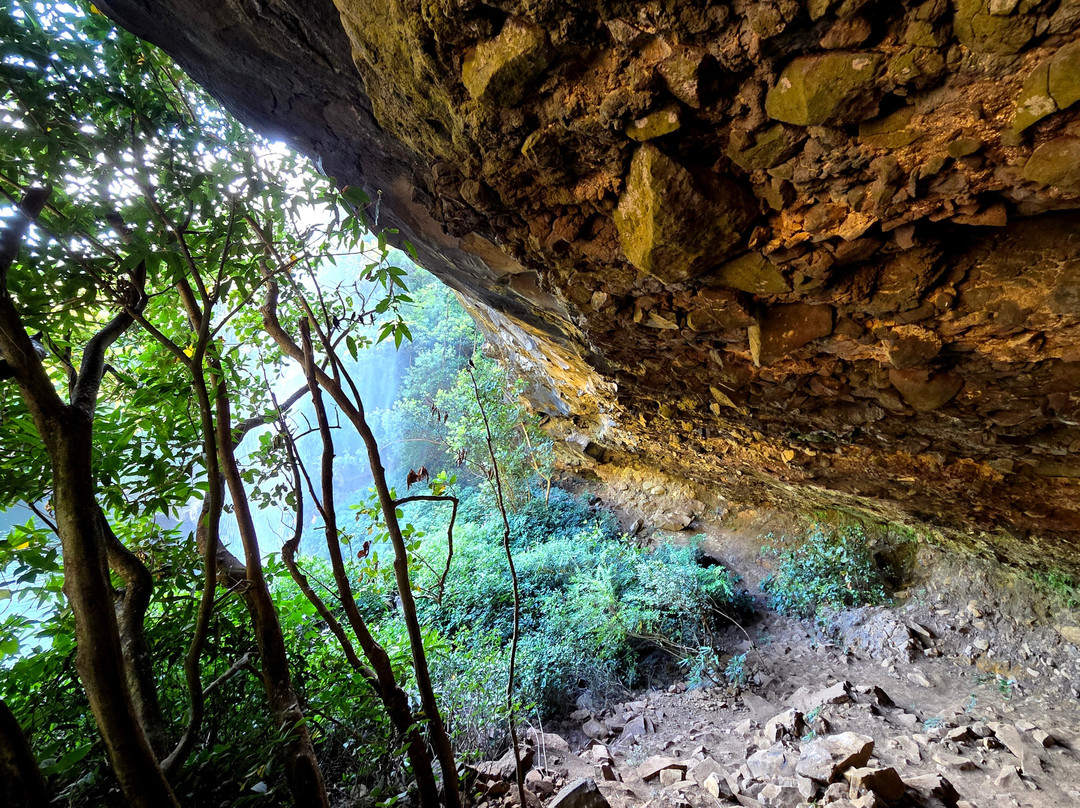 Thomson Adventures-Vacoas-Phoenix必去景点