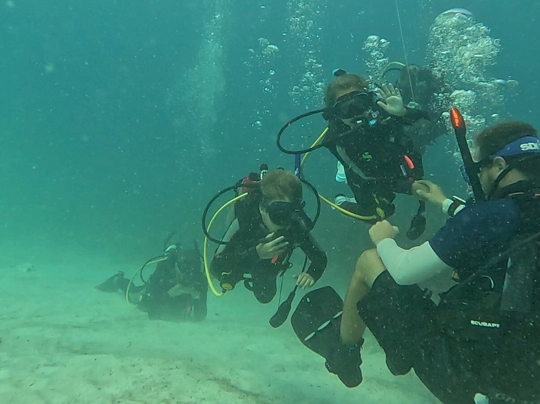 Dressel Divers Playa Del Carmen-普拉亚德尔卡曼必去景点