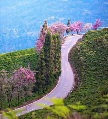 TraveLuxe Sikkim-甘托克必去景点