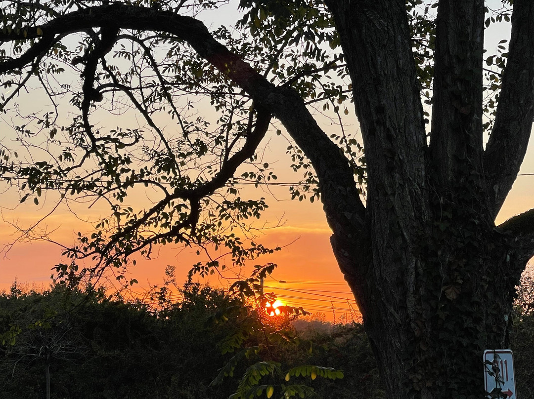 Bed and Breakfast La Forestiere主图