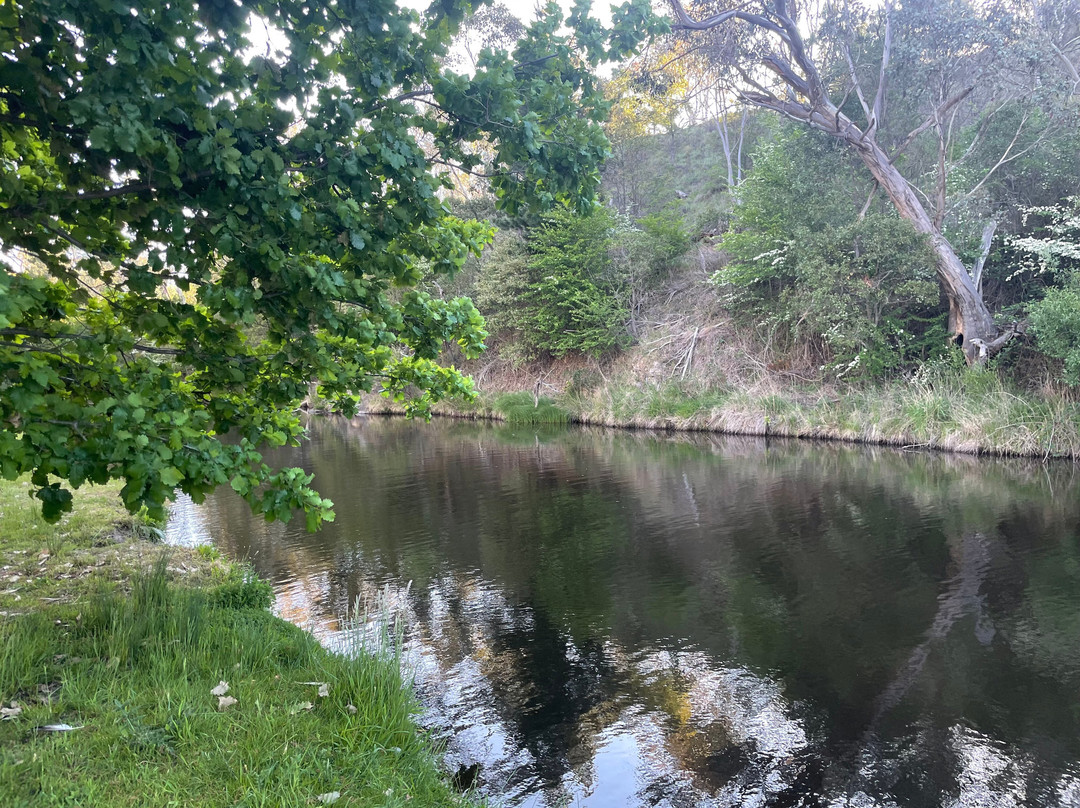 Livingstone Park-Omeo必去景点