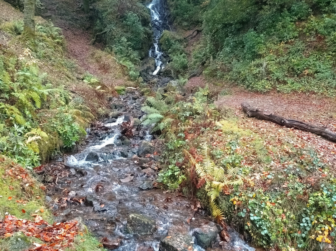 Burrator Reservoir-Yelverton必去景点
