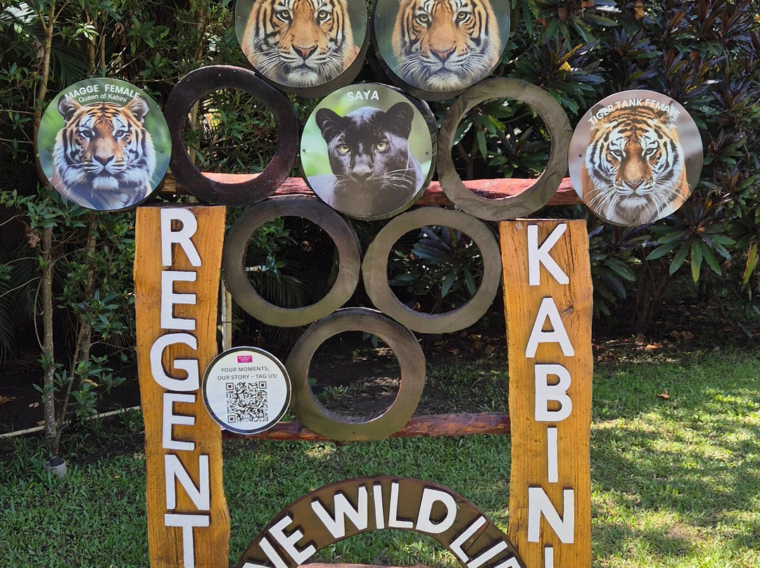 Regenta Jungle Resort Kabini Springs主图