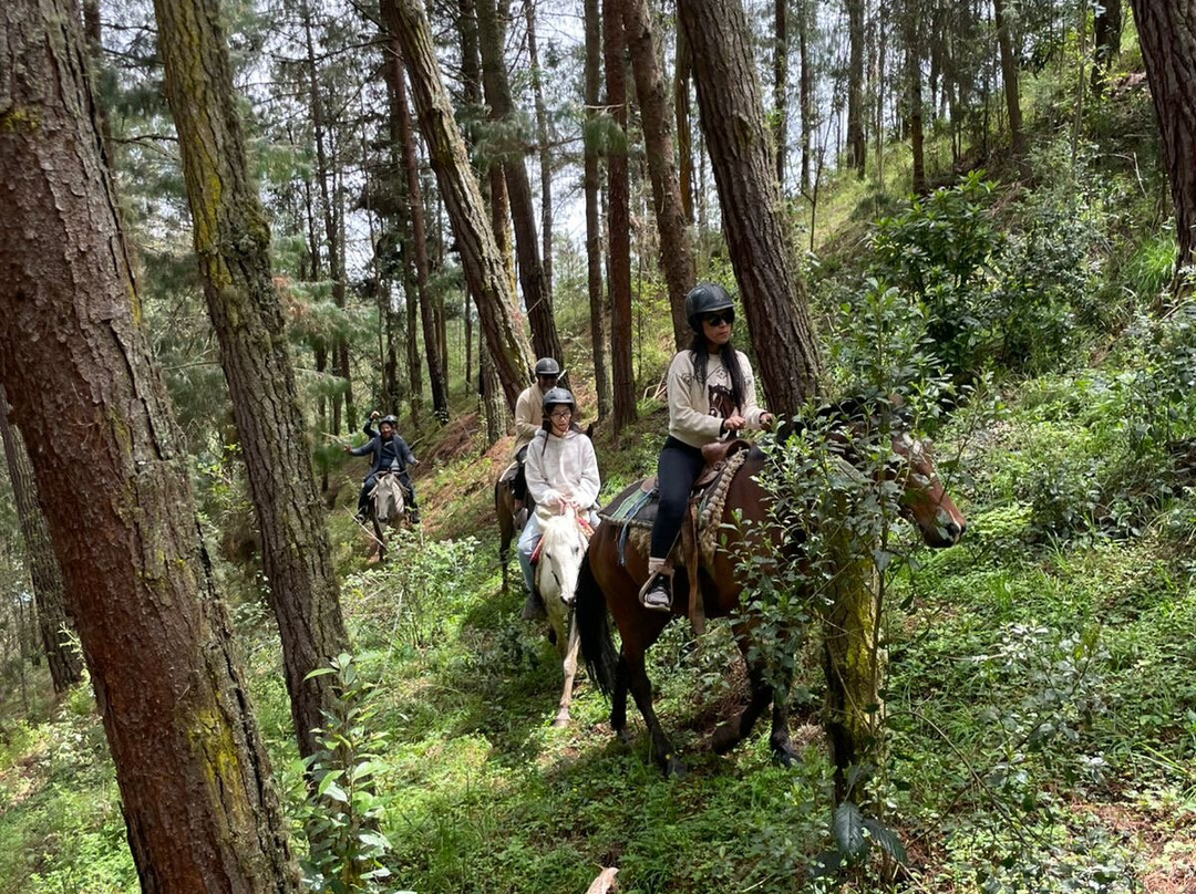 Centro Ecuestre Bellavista-昆卡必去景点