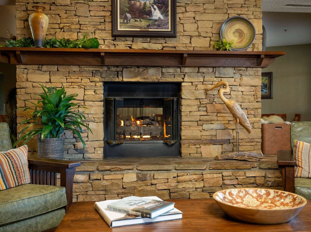 皮金福奇酒店住宿-河上酒店