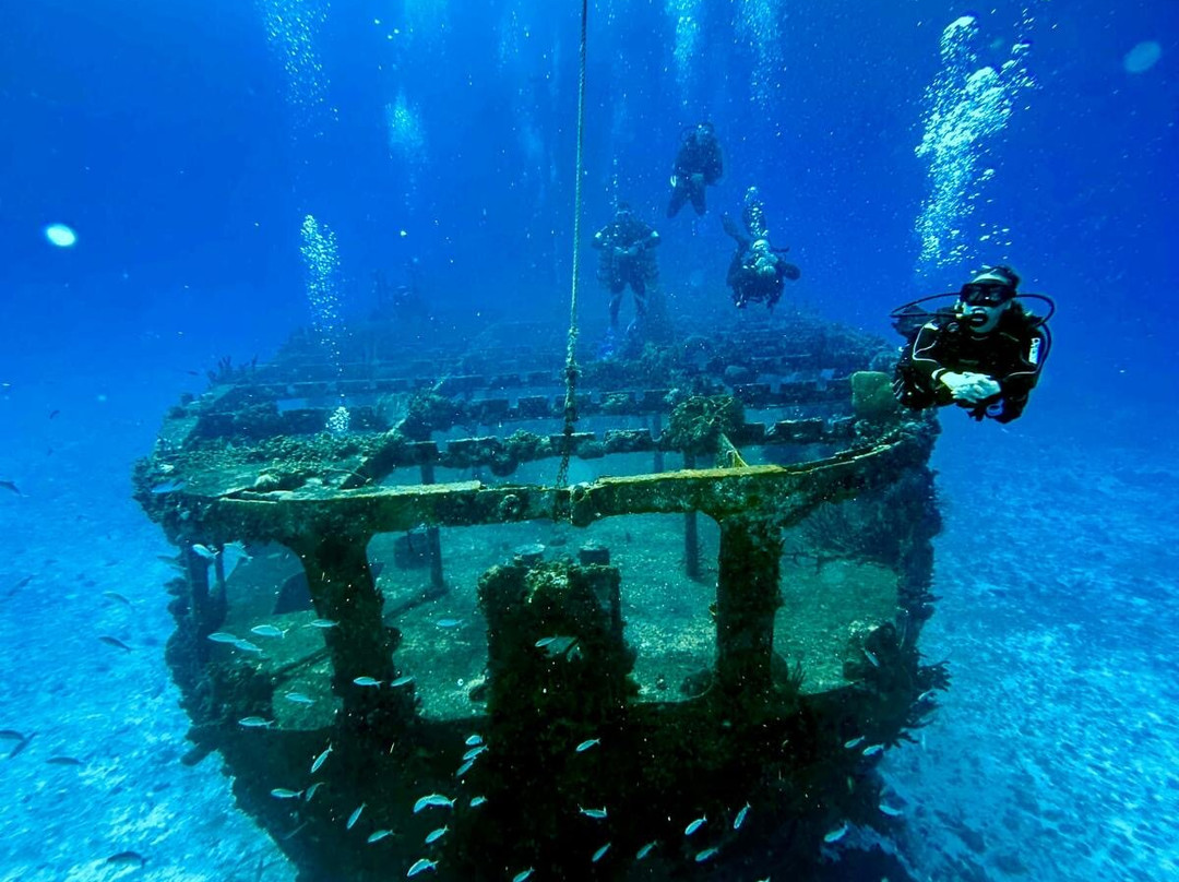 The Reef Marina-普拉亚德尔卡曼必去景点