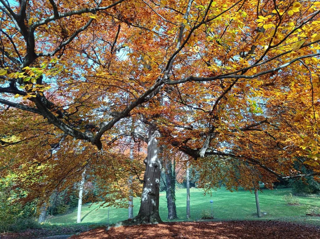 Parc de Mon Repos-洛桑必去景点
