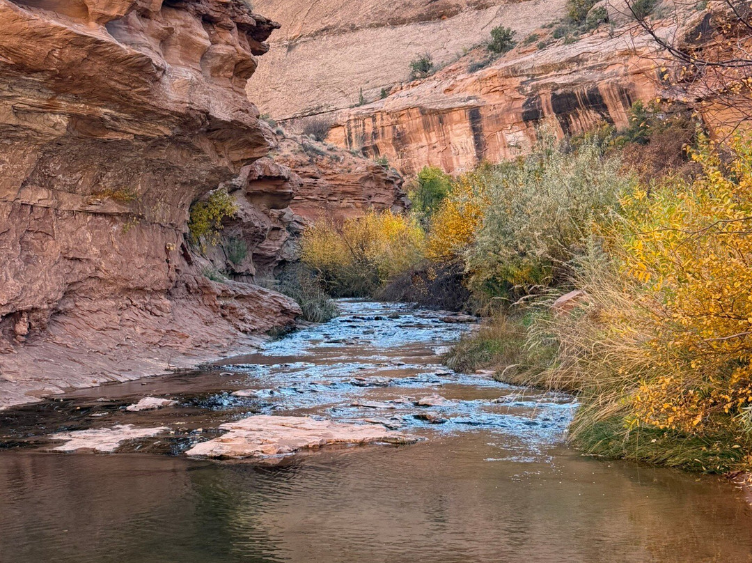 Grandstaff Canyon Trail-莫阿布必去景点