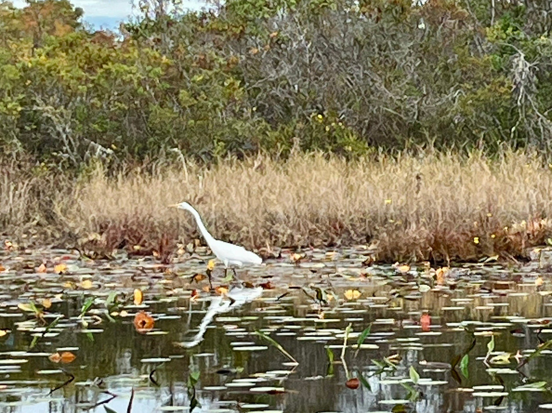 Okefenokee Adventures-Folkston必去景点