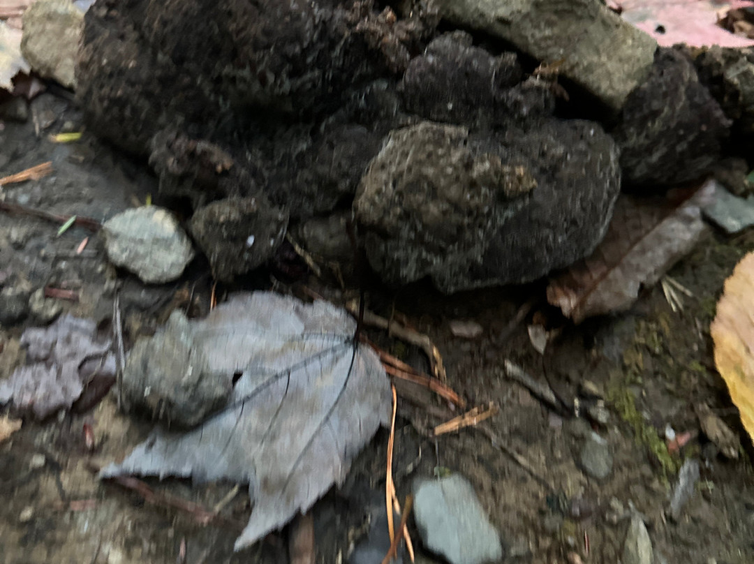 Cataract Falls-大雾山国家公园必去景点