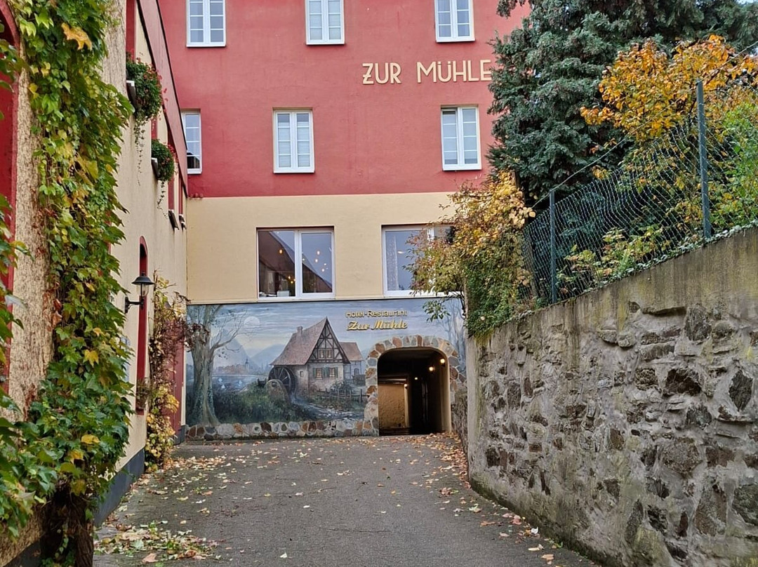 Zur Muhle Hotel主图