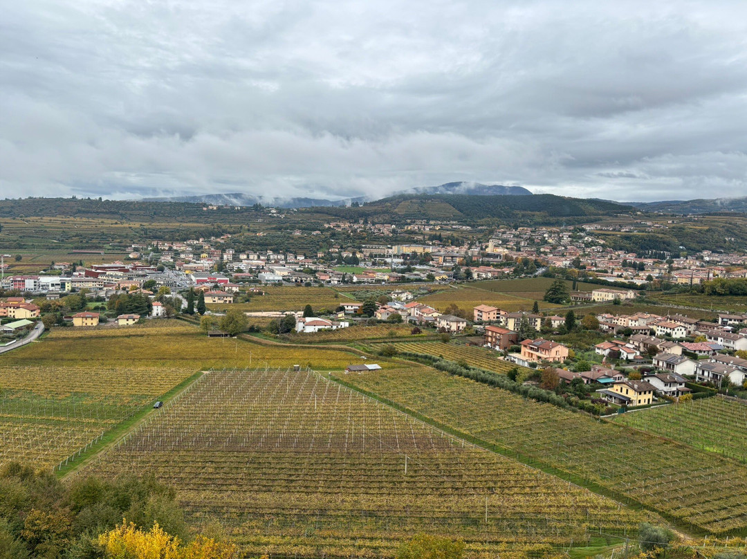Azienda Agricola Giuseppe Quintarelli-Negrar di Valpolicella必去景点