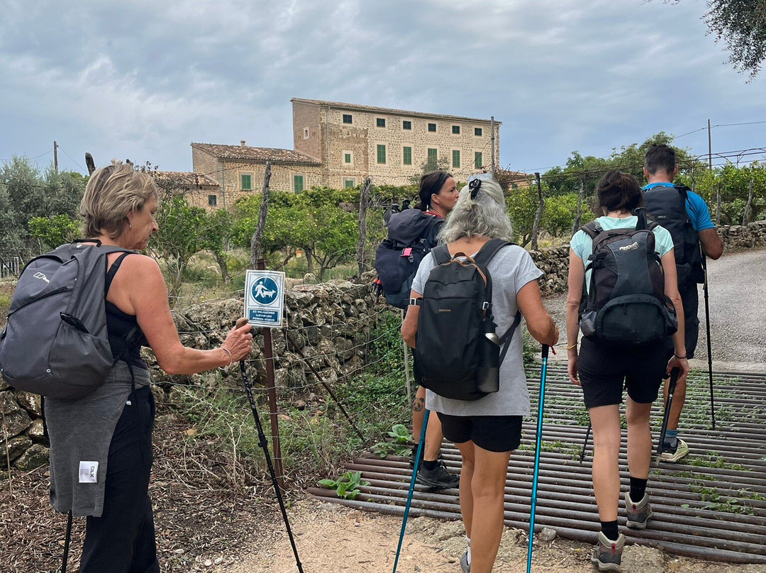 Blue Peaks Mallorca-Alaró必去景点