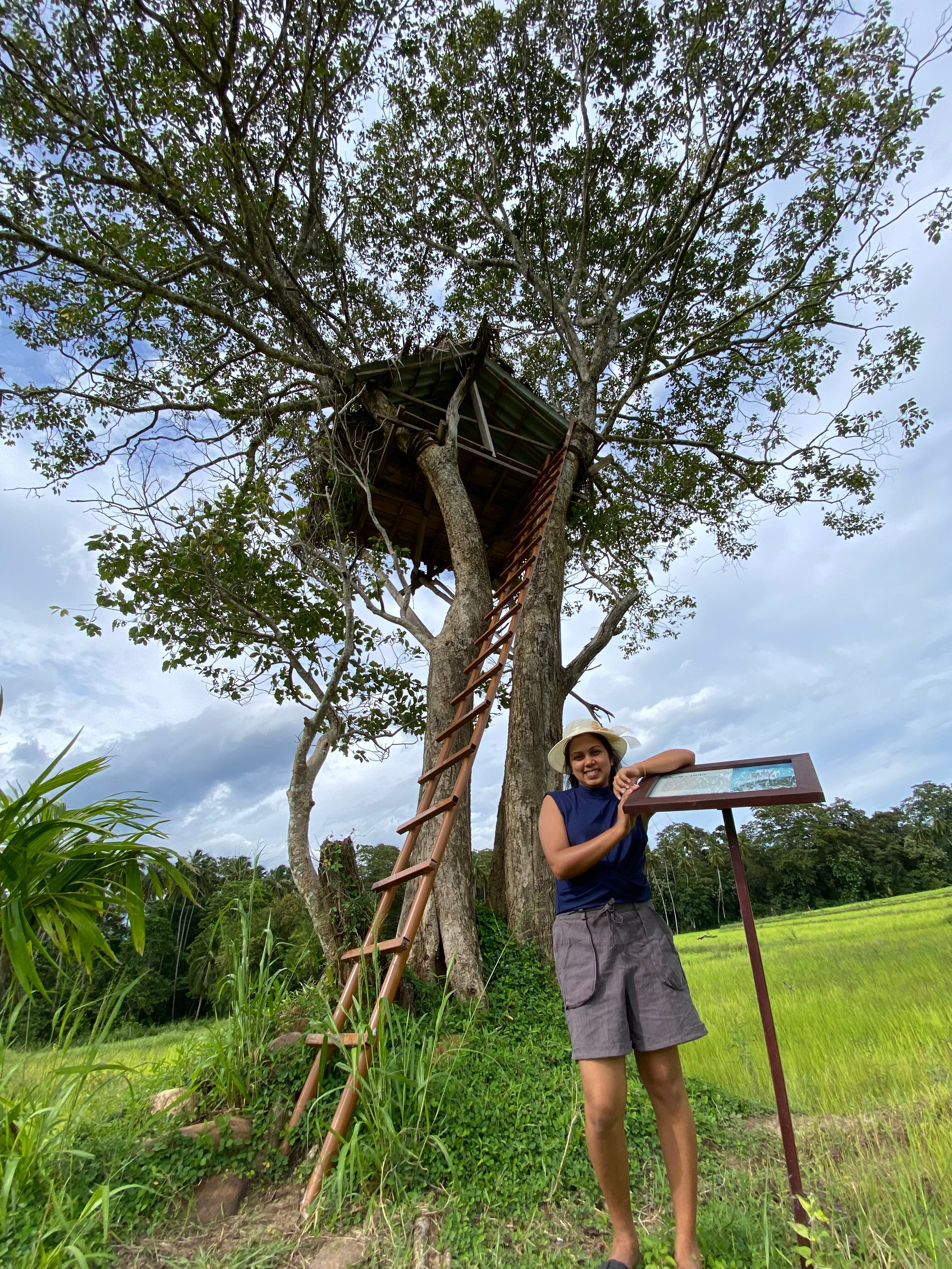Jetwing Kaduruketha-官方