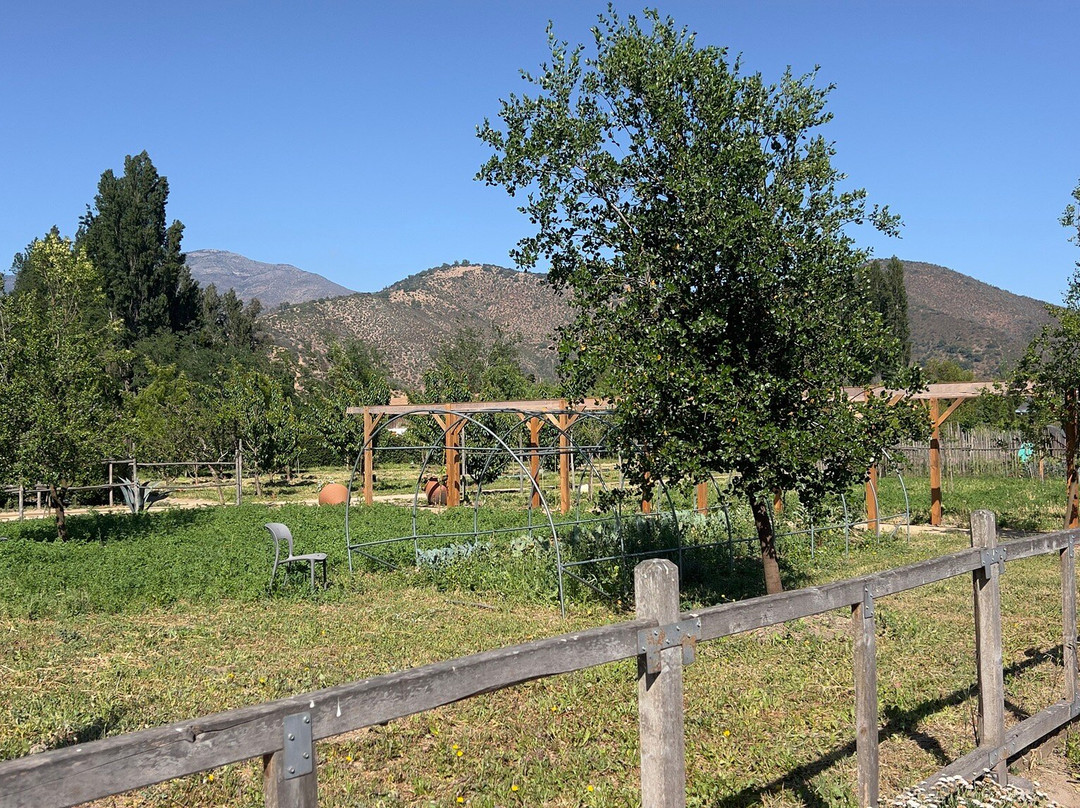 Campo La Quirinca-Isla de Maipo必去景点