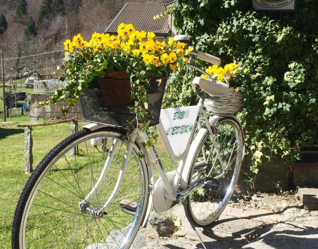 B&B l'Edera