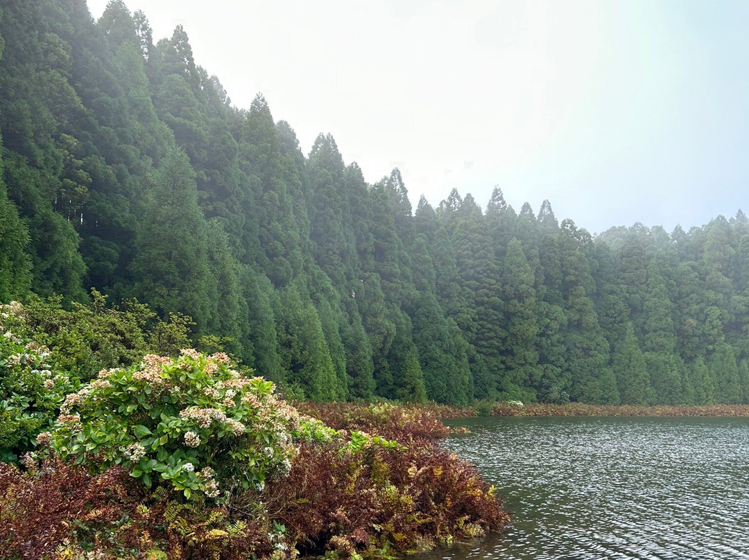 Pedro Ferreira Azores Tours-蓬塔德尔加达必去景点