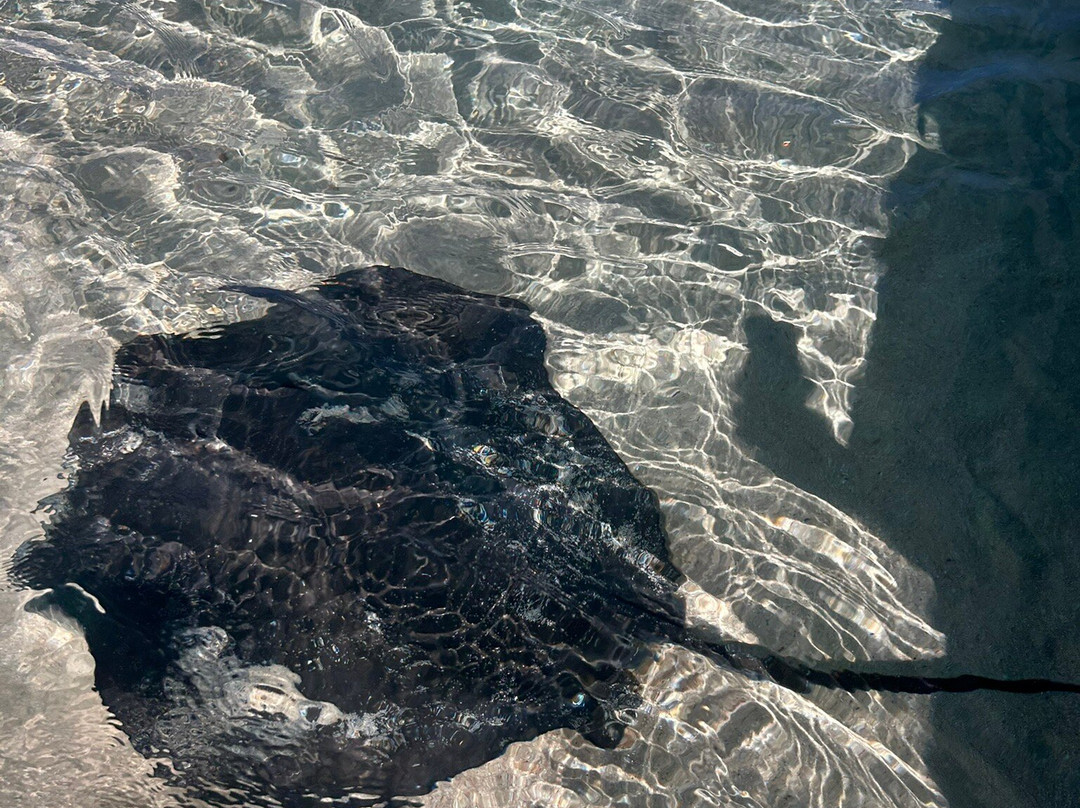 Sea Serenity Excursions-Bain Boeuf必去景点