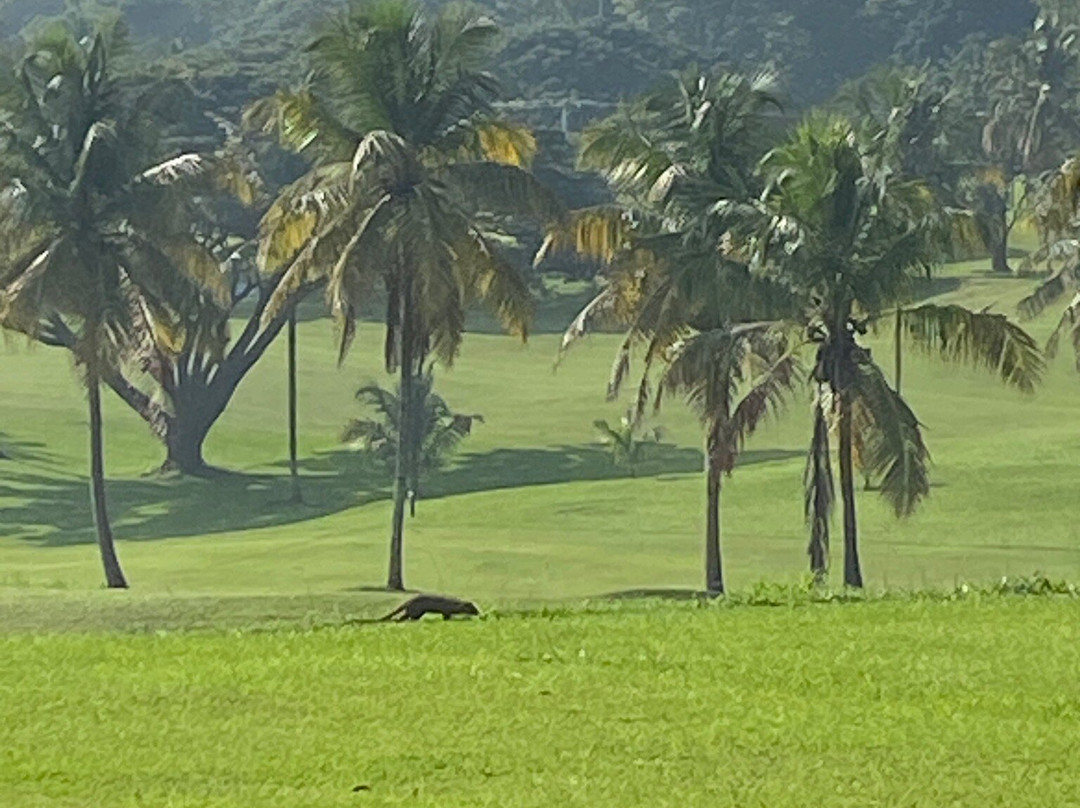 Victoria Golf Resort-Rajawella必去景点