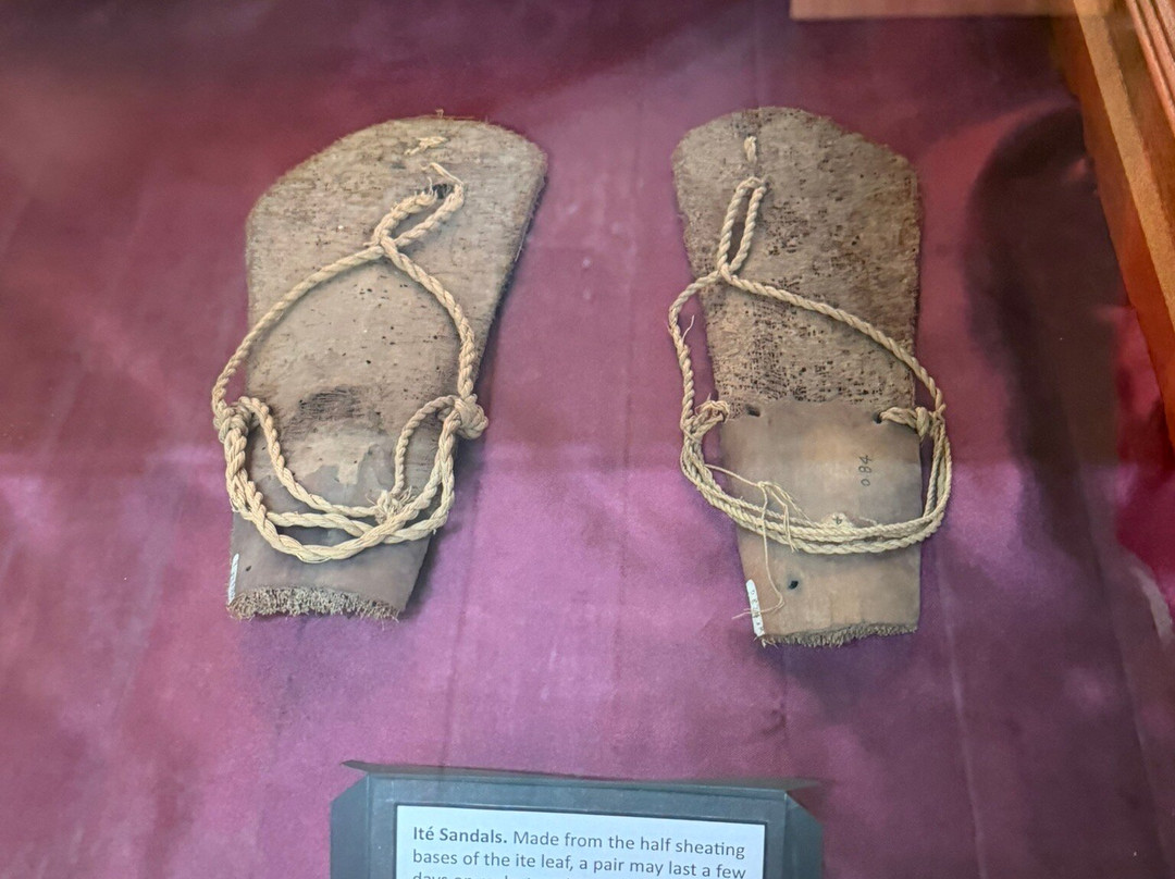 Walter Roth Museum of Anthropology-乔治城必去景点