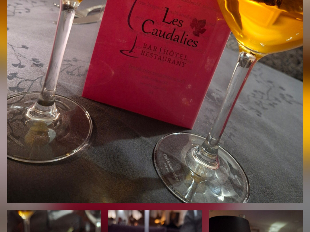 Hôtel Restaurant Les Caudalies