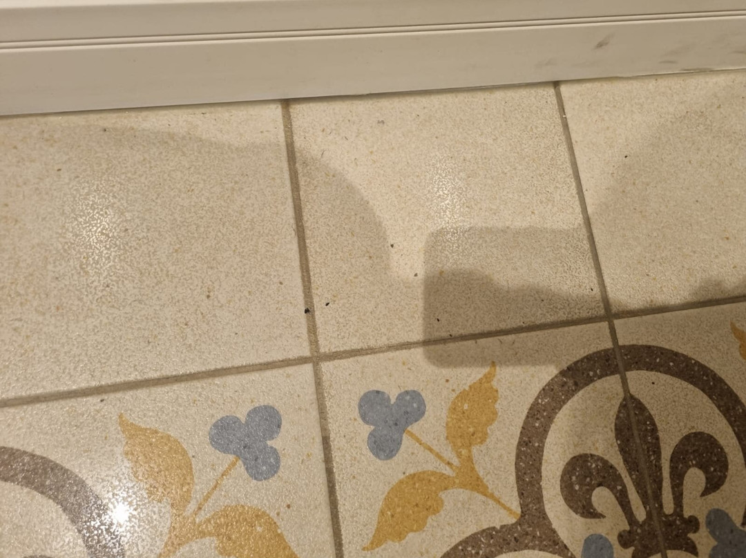 Edmond Rosh Pina Hotel主图