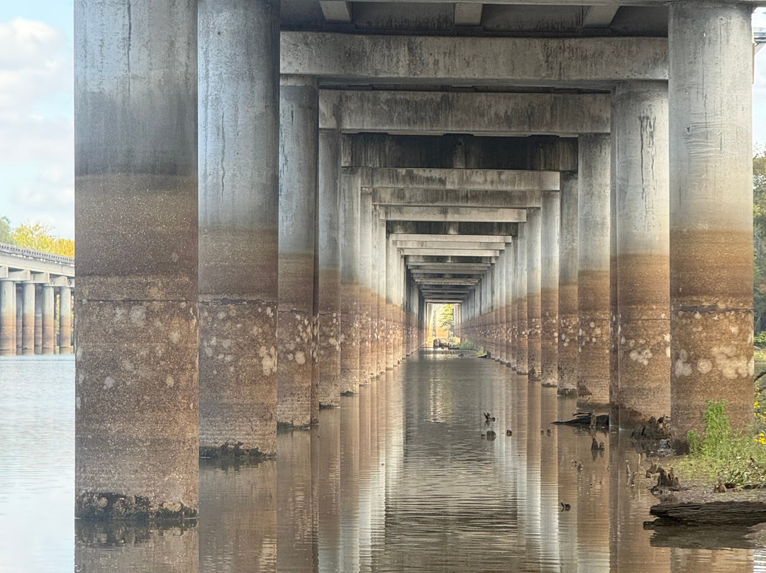 Atchafalaya Basin Landing & Airboat Swamp Tours-布里奥克斯桥必去景点