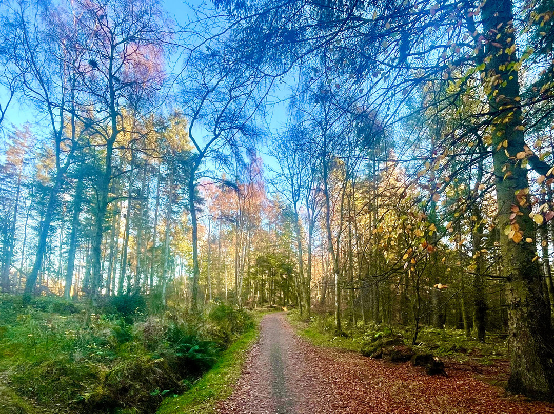 Templeton Woods-敦提必去景点