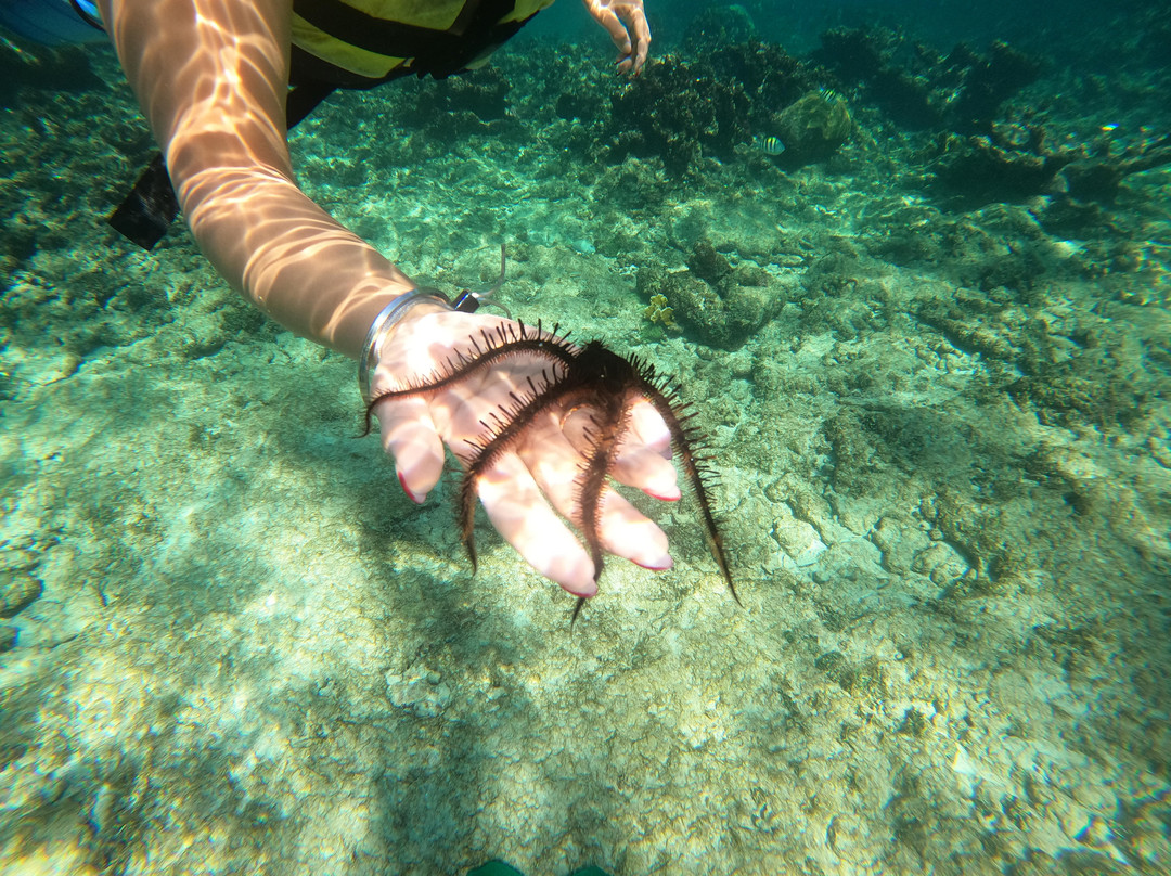 Snorkeling Tour Varadero-巴拉德罗必去景点
