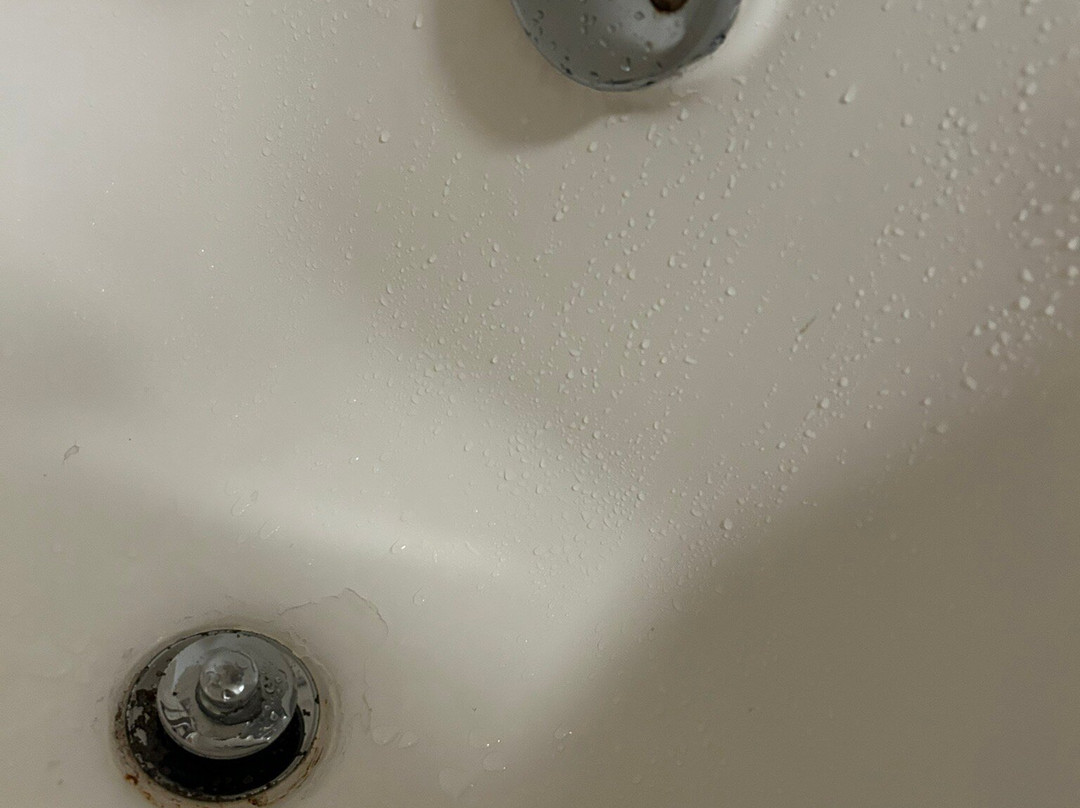 Wingate by Wyndham Valdosta/Moody AFB主图