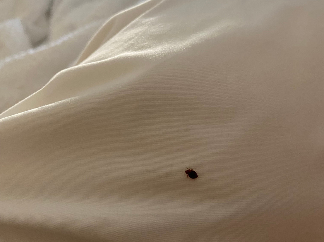 Holiday Inn Express Fort Wayne-East (New Haven) by IHG主图