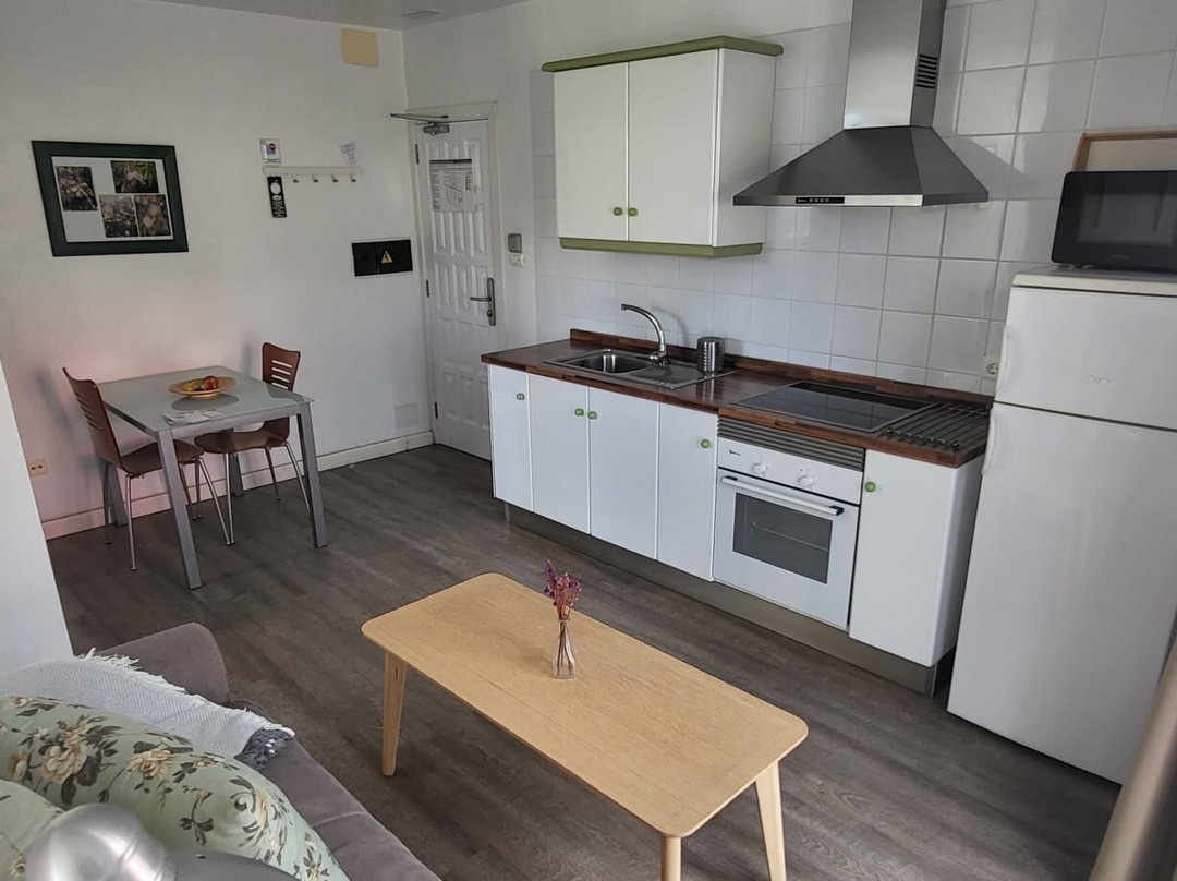 Apartamentos Adjovimar主图