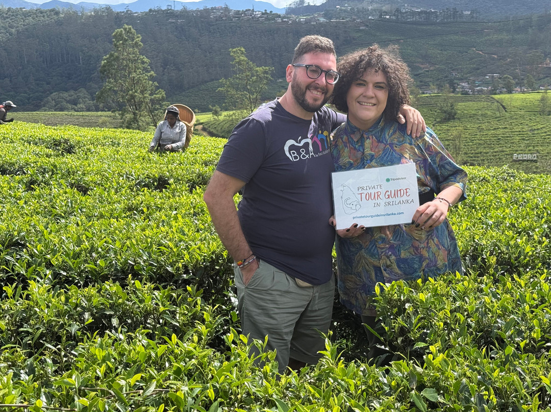 Private Tour Guide in Sri Lanka-科伦坡必去景点