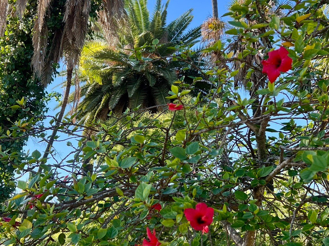 Orto Botanico di Palermo-巴勒莫必去景点