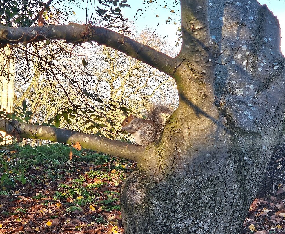 约克博物馆花园-约克必去景点