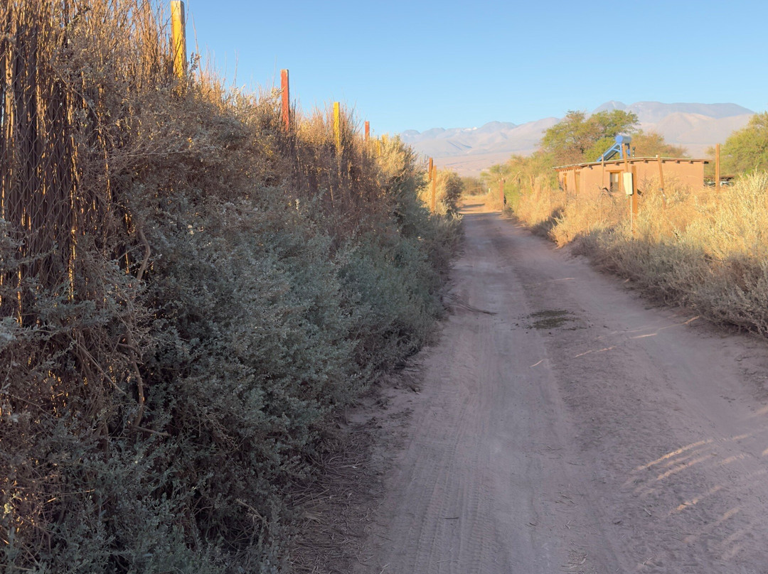 Sami Atacama Lodge主图