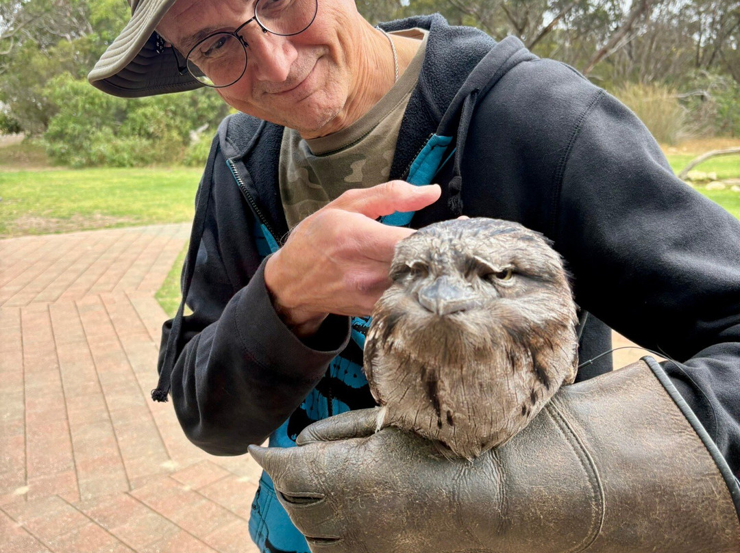 Raptor Domain-Seal Bay必去景点