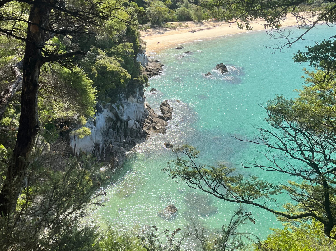 Abel Tasman Hire Company-凯特里特里必去景点