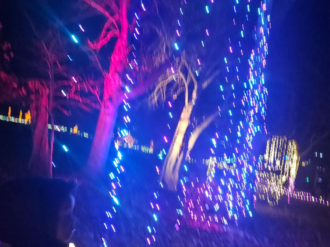 Powell Gardens-Kingsville必去景点