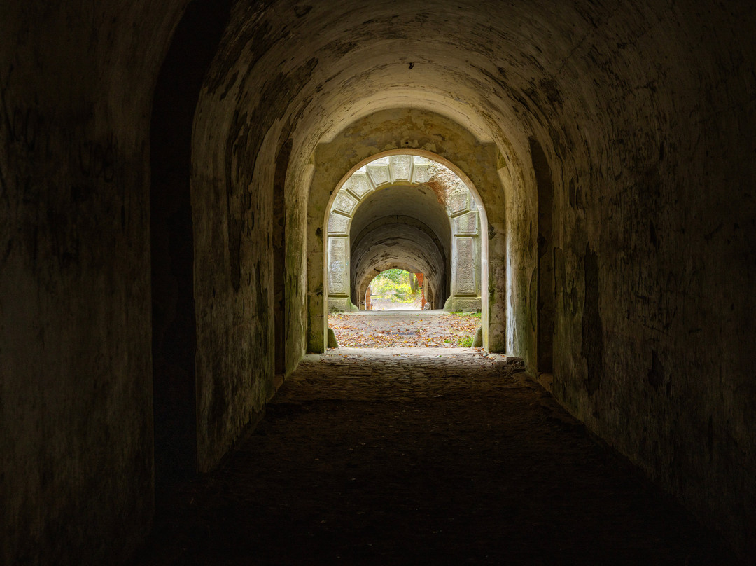 Przemyśl Cathedral & Basilica-Przemysl必去景点