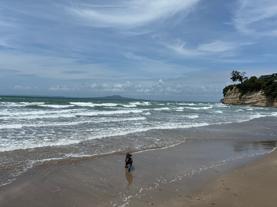 Browns Bay Beach-布朗斯湾必去景点