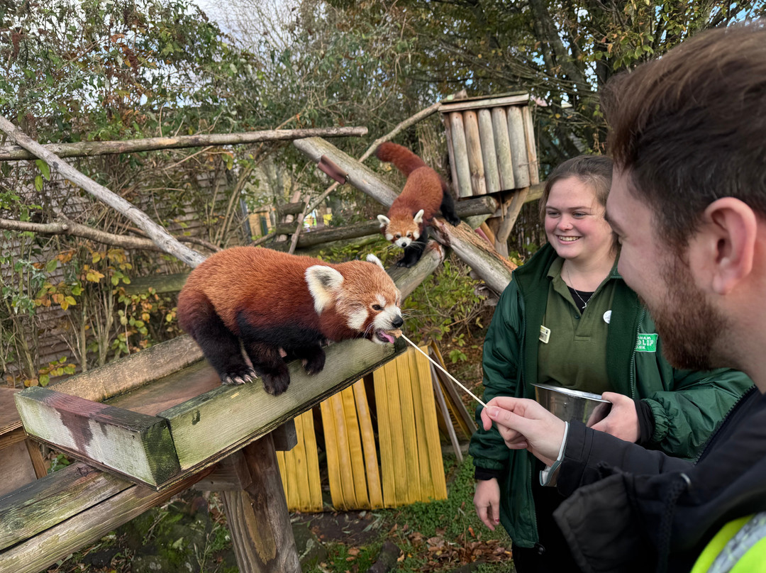 Wingham Wildlife Park-Wingham必去景点