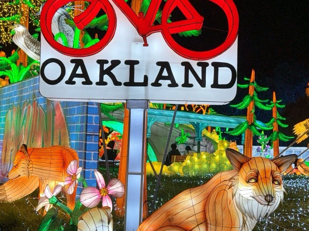 奥克兰动物园-奥克兰必去景点