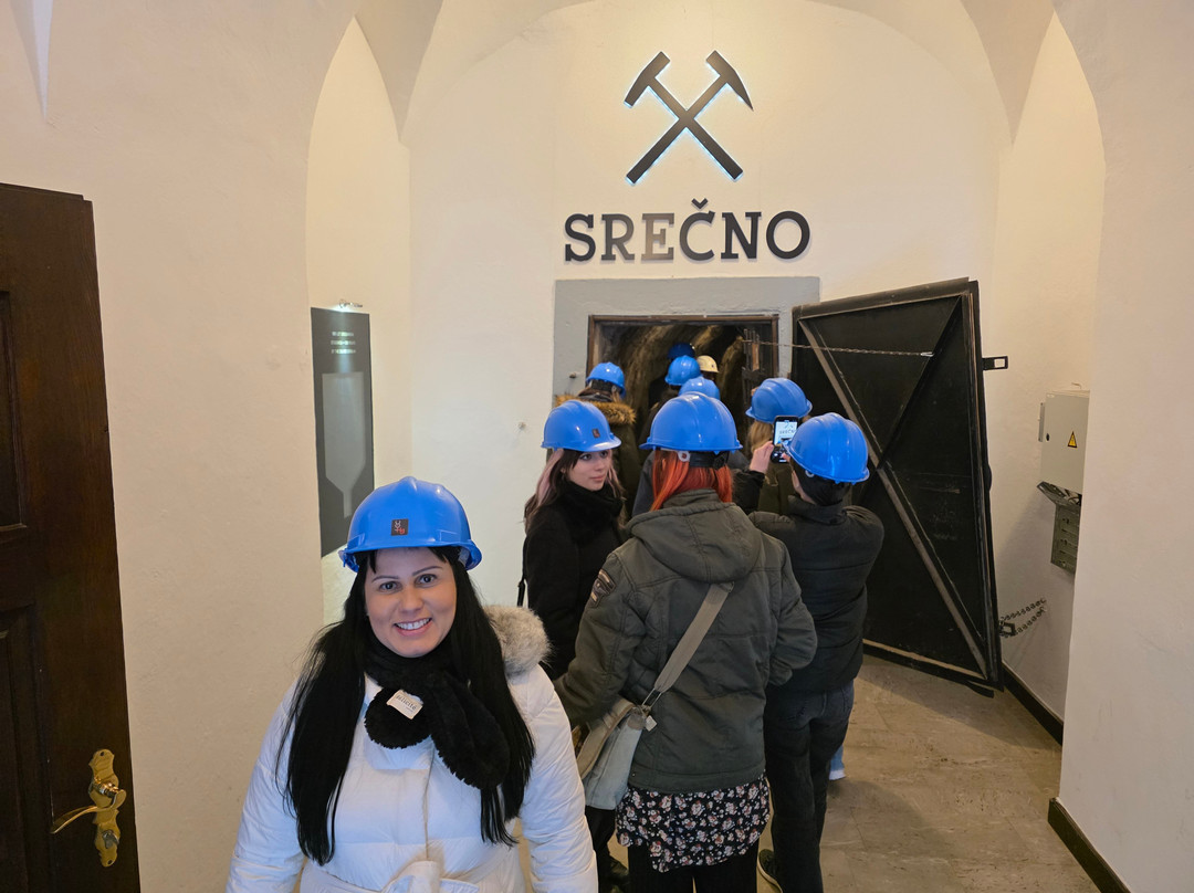 Rudnik Živega Srebra Idrija-伊德里亚必去景点