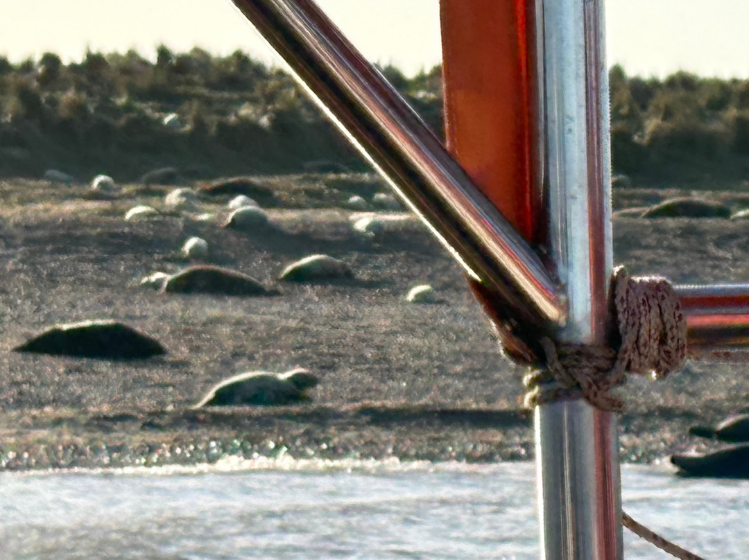 Beans Boat Trips-Morston必去景点