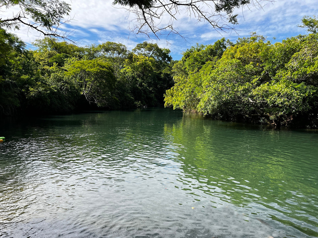 Eco Park Porto Da Ilha-博尼图必去景点