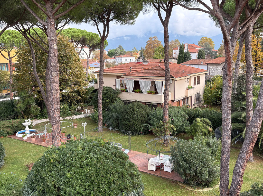 Camminamento in Quota Sulle Mura di Pisa-比萨必去景点