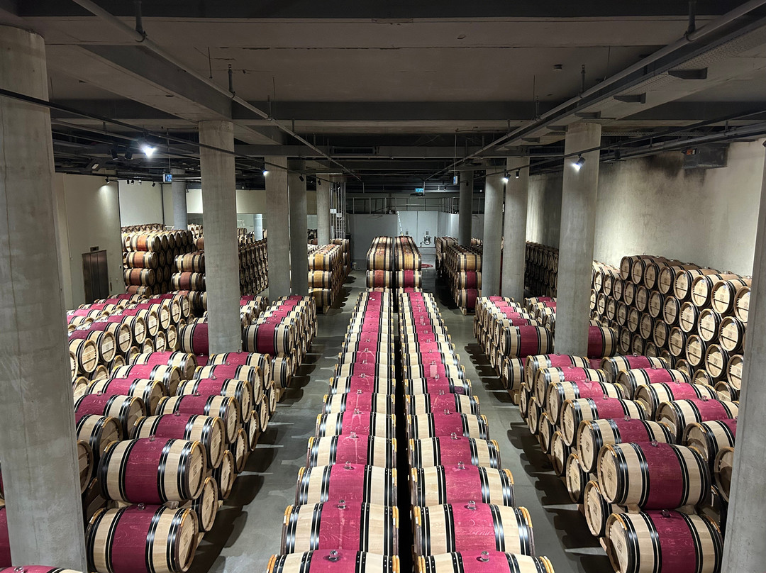 Domaine du Castel Winery-Yad Hashmona必去景点