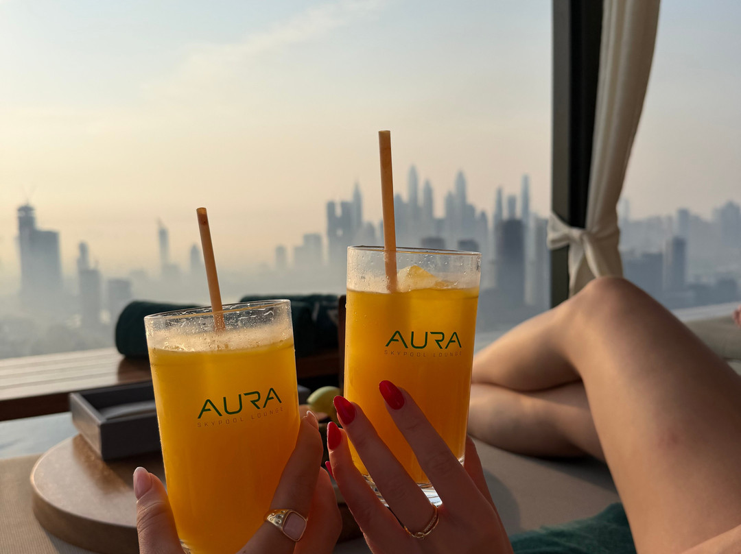 AURA SKYPOOL-迪拜必去景点